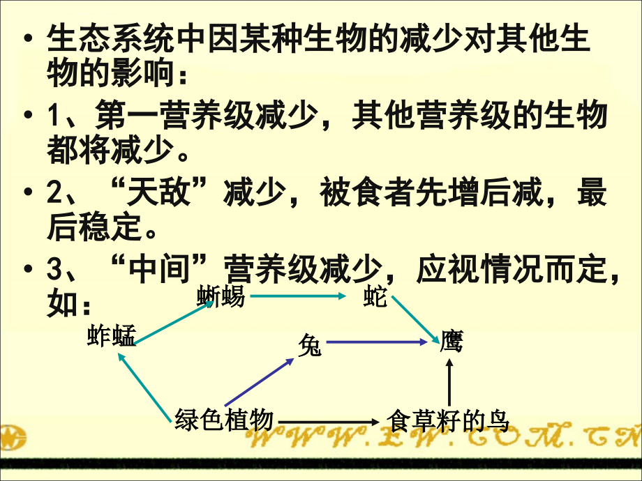 生态系统的能量流动修改些资料课件_第3页