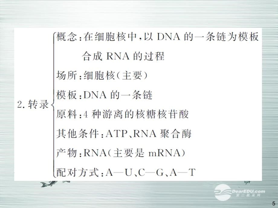 高考生物大一轮复习 专题10 遗传的分子基础(2)配套课件 新人教版_第5页