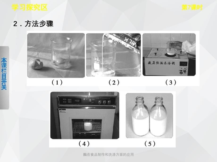 酶在食品制作和洗涤方面的应用 .ppt_第5页