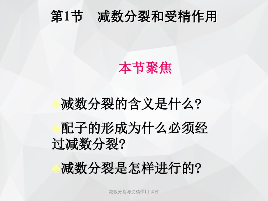 减数分裂与受精作用 课件.ppt_第2页