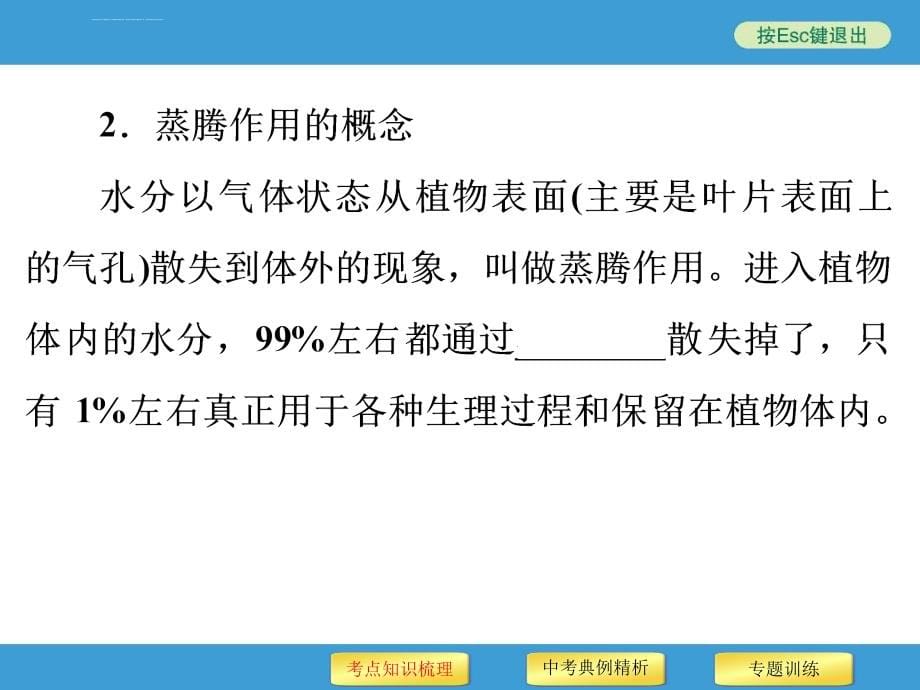 2016年中考初中科学复习专题4 绿色开花植物的物质和能量转换课件_第5页