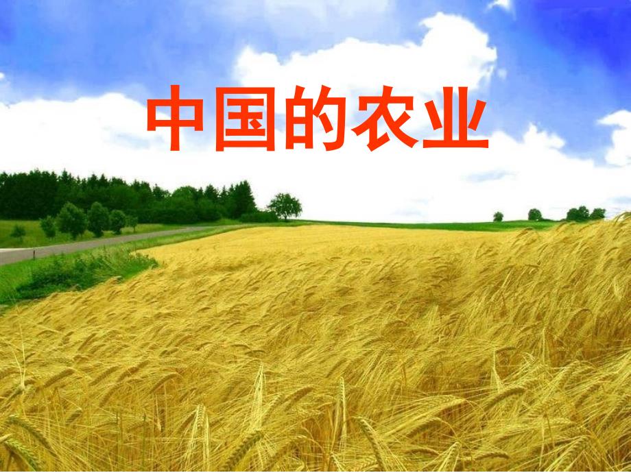 高二地理中国的农业 ._第1页