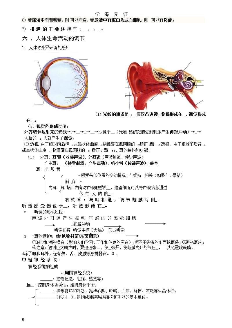 新人教版七年级生物下册复习提纲(填空式)（9月11日）.pptx_第5页