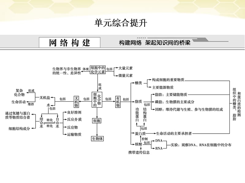 【创新设计】高考生物一轮复习 1-1单元综合提升组成细胞的分子课件 新人教版_第1页