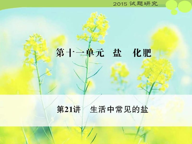 2015年中考化学复习课件+第21讲+生活中常见的盐_第1页