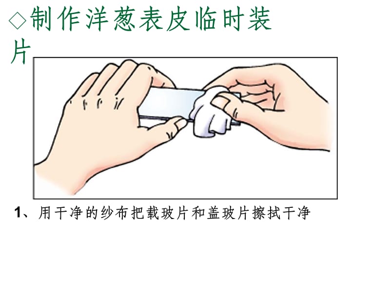 细胞的结构和功能精-济南版ppt课件_第4页