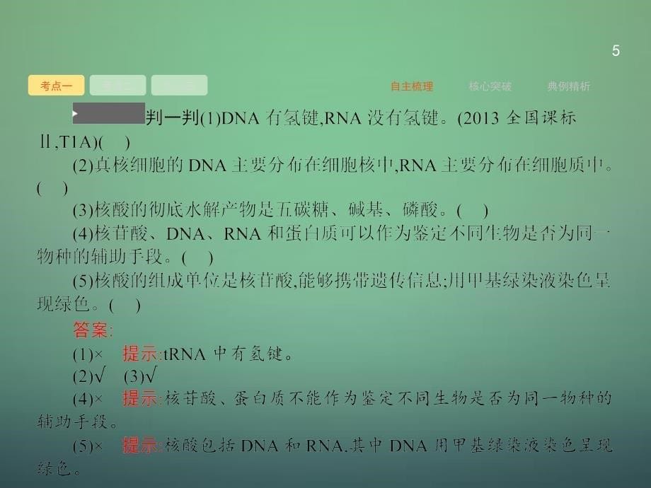 2016届高三生物一轮复习 14遗传信息的携带者-核酸、细课件_第5页