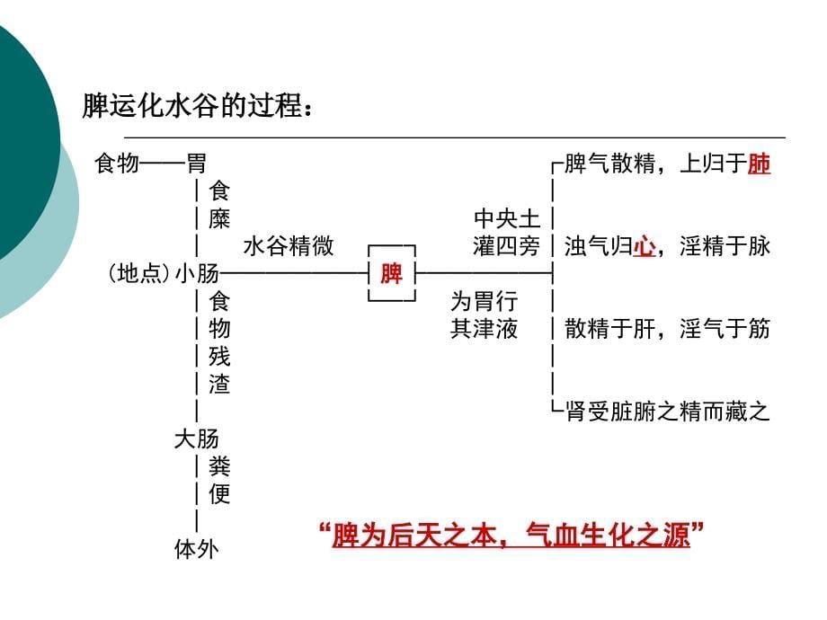 第二章脏象五脏脾肝肾课件_第5页