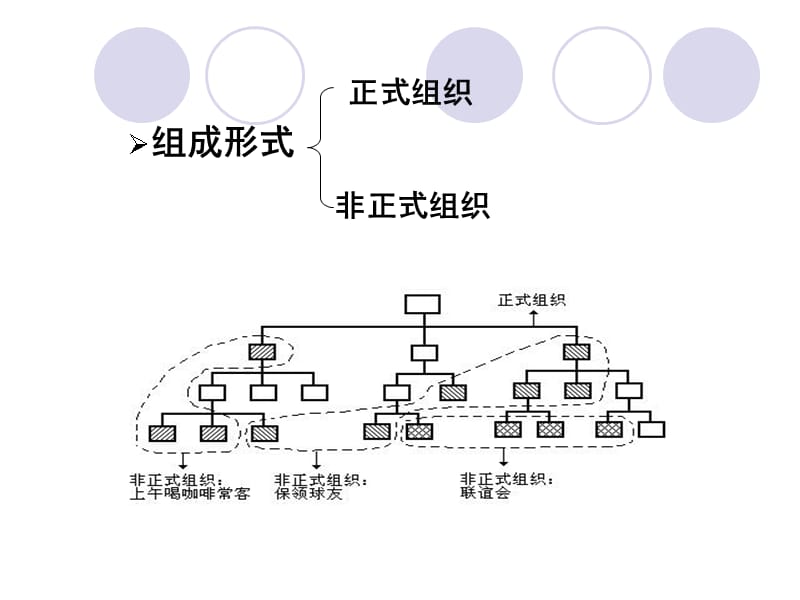 第5章 组织 (终).ppt_第5页