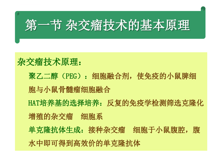 第四章单克隆抗体与基因工程抗体的制备课件_第4页