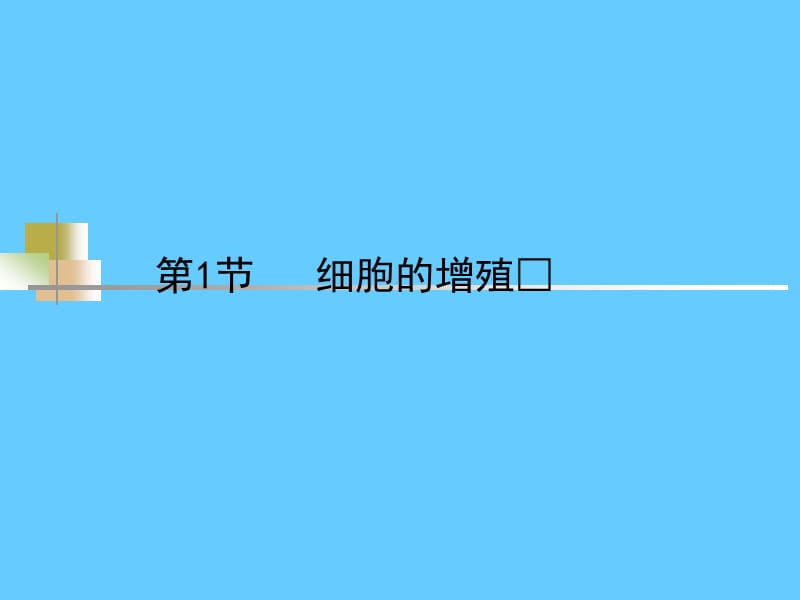 细胞增殖复习课件PPT_第3页