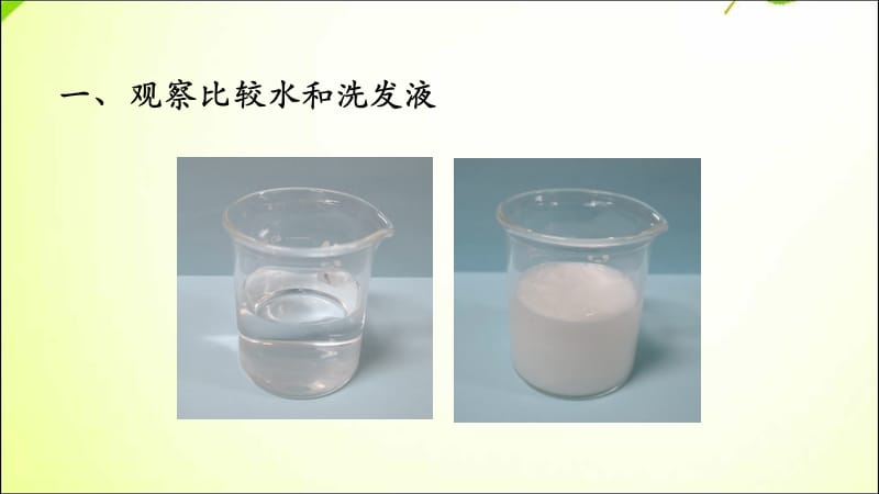 观察一瓶水 课件一年级下册科学_第2页