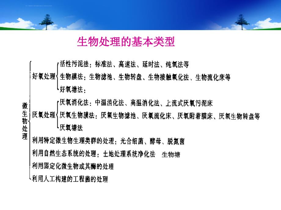 第十章水环境污染控制与治理的生态工程及微生物学原理课件_第3页