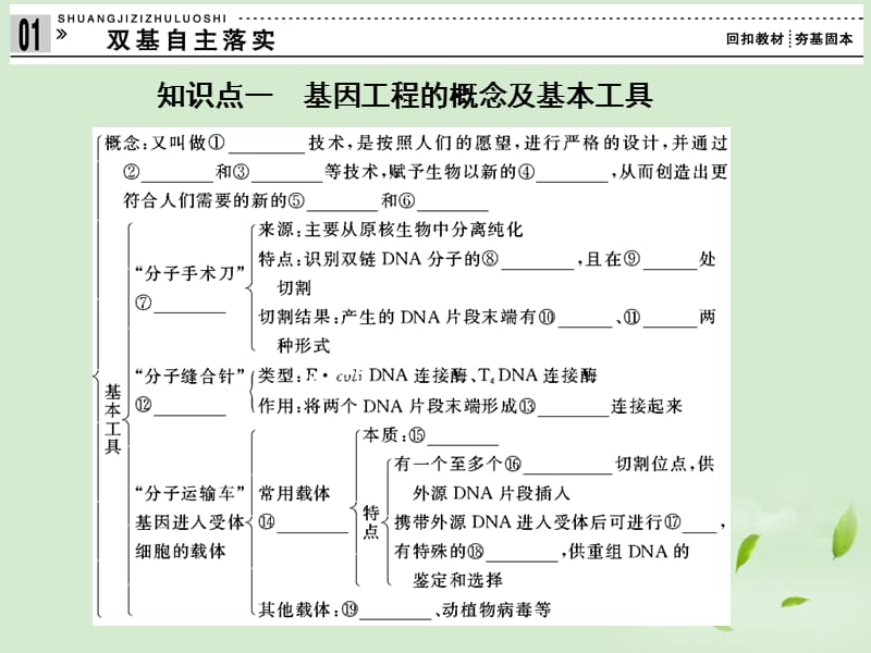 【创新设计】高考生物一轮复习资料 专题一基因工程课件 新人教版选修3_第4页