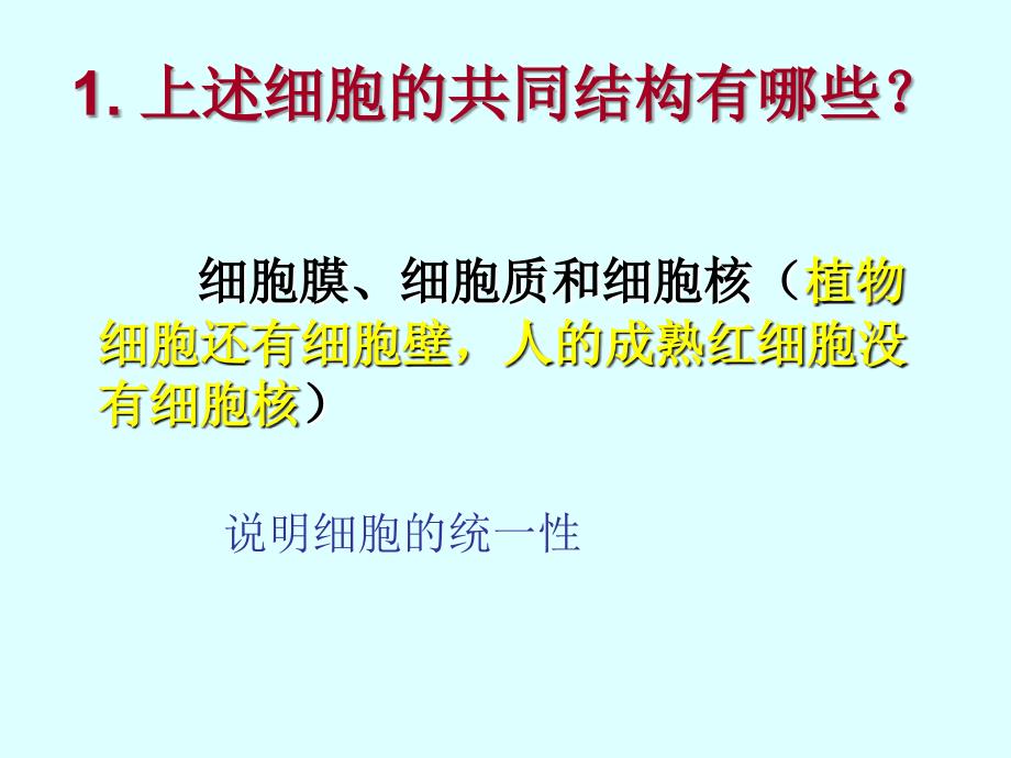 细胞的多样性和统一性庄艳课件_第4页