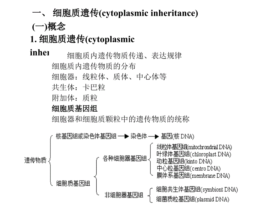 细胞质遗传4课时PPT文档课件_第2页