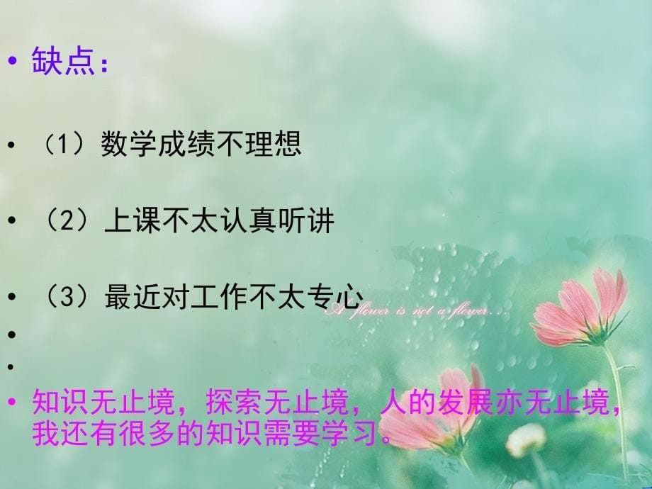 期末总结 ppt_第5页