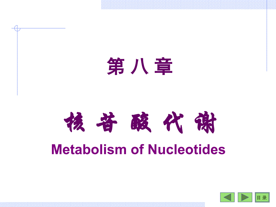 第八章核苷酸代谢课件_第1页