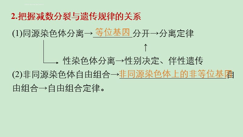 2016版高考生物大二轮总复习与增分策略配套课件 专题三 必考点_第5页