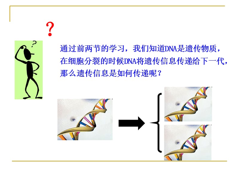 遗传信息的传递 课件_第3页