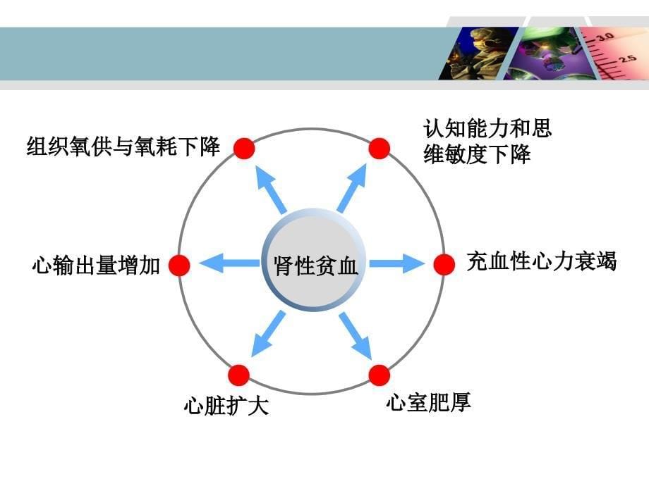 透析患者的贫血管理-_第5页