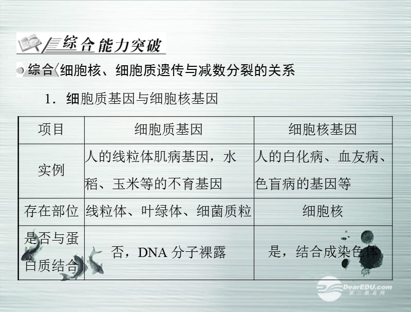 【高考风向标】（广东专用）高考生物第一轮总复习 第4章 章末知识整合 课件 新人教版必修2_第2页