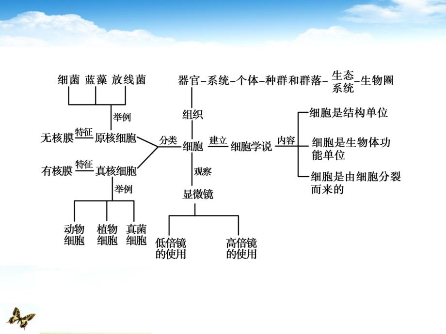 高考生物 第1章 走近细胞知识研习课件 新人教版必修1_第2页