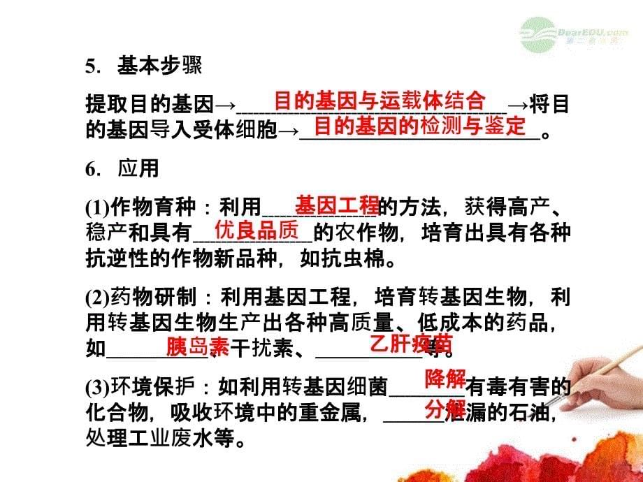 高考生物一轮复习 6.41 基因工程及其应用课件 新人教版必修2_第5页