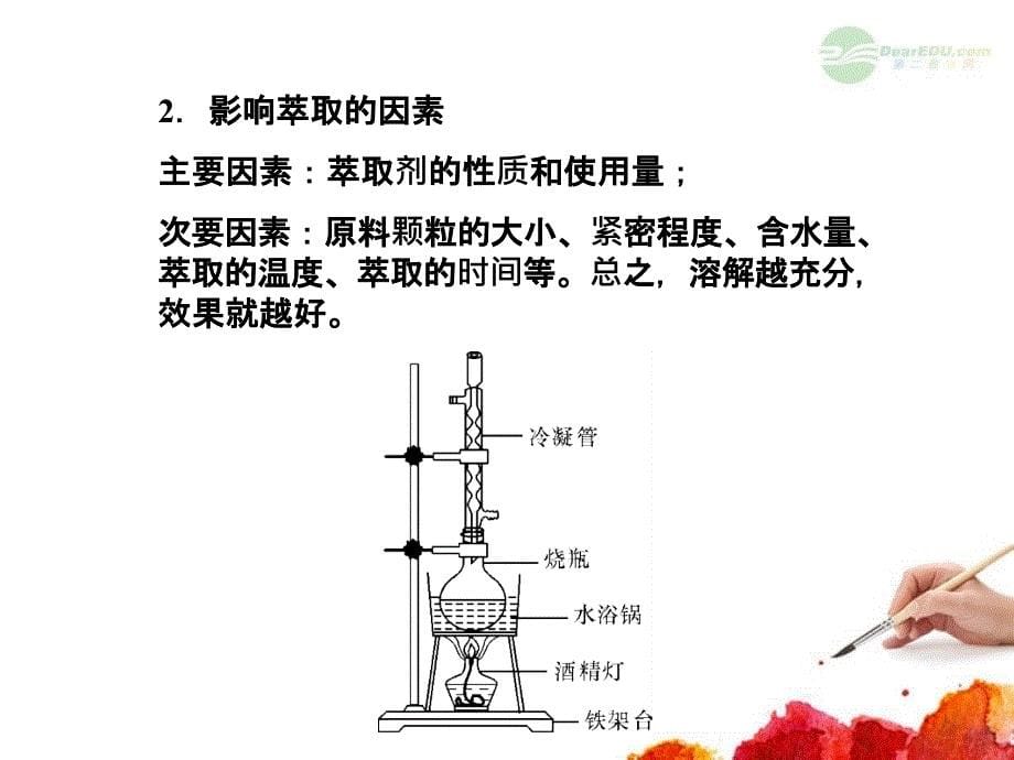 高考生物一轮复习 6.72 胡萝卜素的提取课件 新人教版选修1_第5页