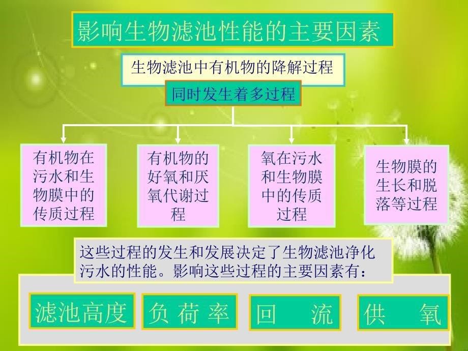 水污染控制课件第十三章 污水的好氧生物膜法处理(新)_第5页