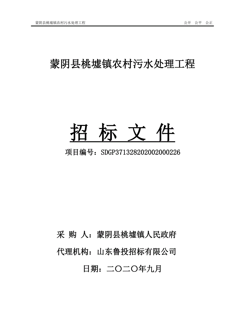 蒙阴桃墟镇农村污水处理工程招标文件_第1页