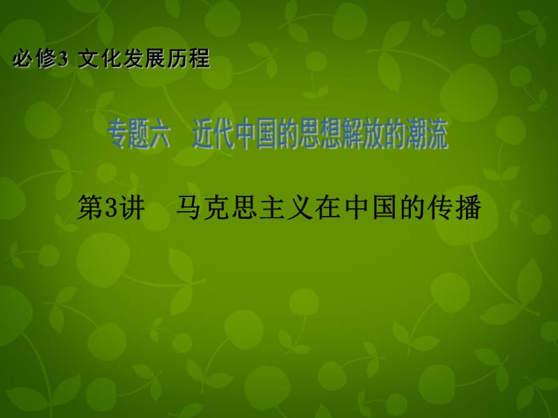 【高考四元聚焦】高三历史一轮复习 专题6 第3讲 马克思主义在中国的传播课件 新人教版必修3_第2页