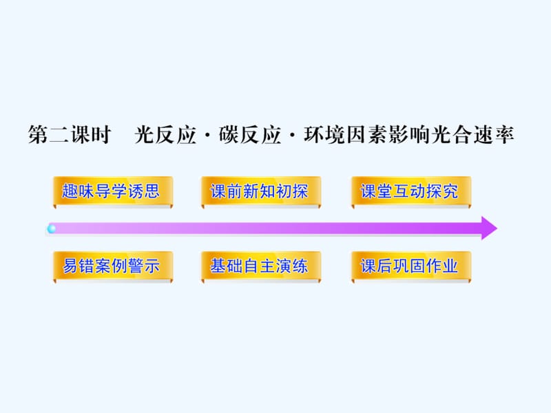 【导与练】高考生物 3.5.2 光合作用同步教学课件 浙科版必修1_第1页