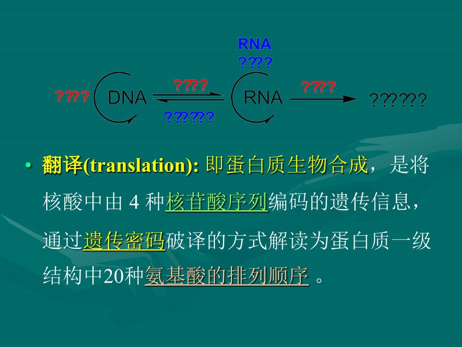 从mRNA到蛋白质精品课件_第2页