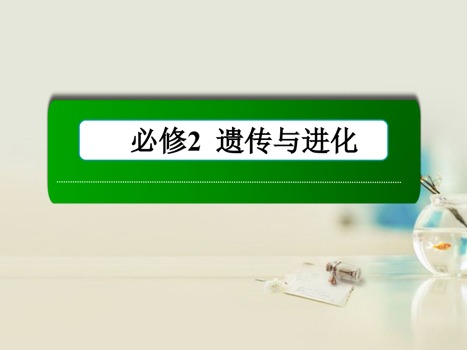 高考生物一轮复习 2-6从杂交育种到基因工程课件 新人教版_第2页