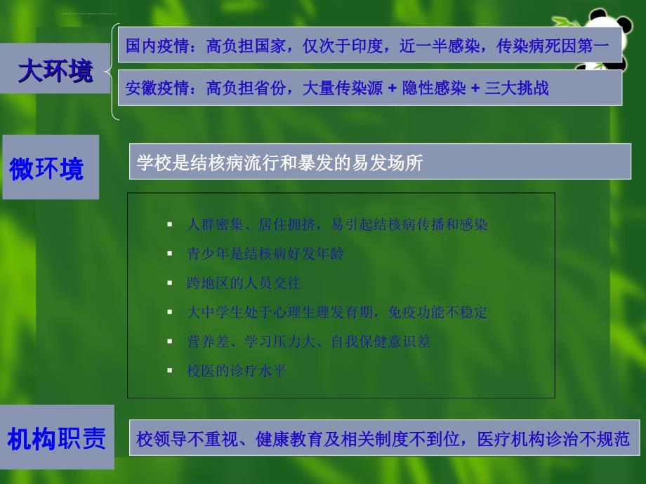 2019年学校结核病防治知识课件_第4页