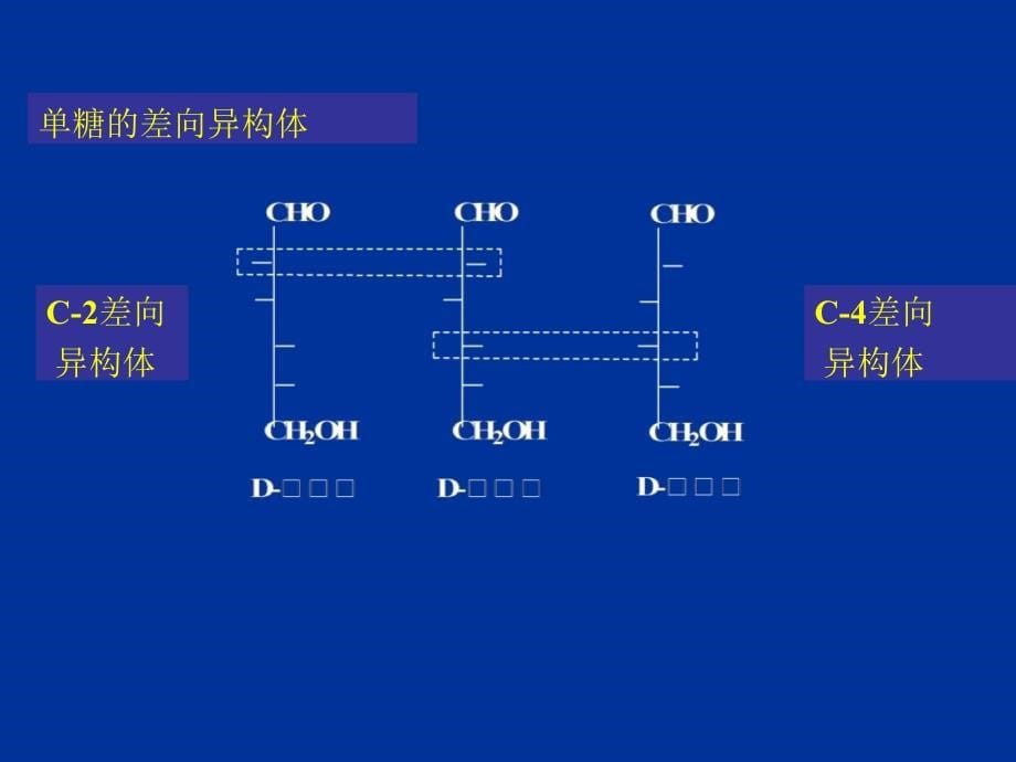 《碳水化合物》-公开课件_第5页