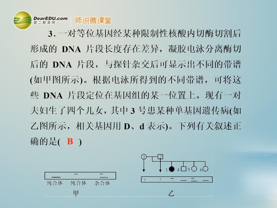 高考生物一轮复习 专题1 基因工程同步测试 新人教版选修3_第4页