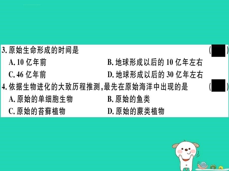 2019春八年级生物下册生物的进化第1课时生物进化的证据和历程习题课件新版北师大版_第5页