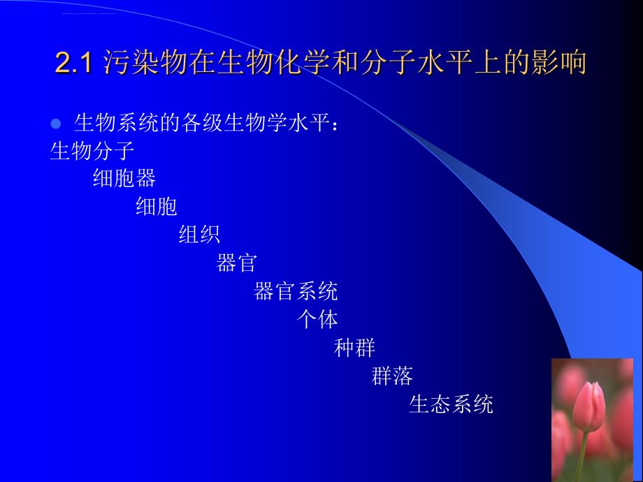 2019年环境生物学课件及教案第二章_第2页