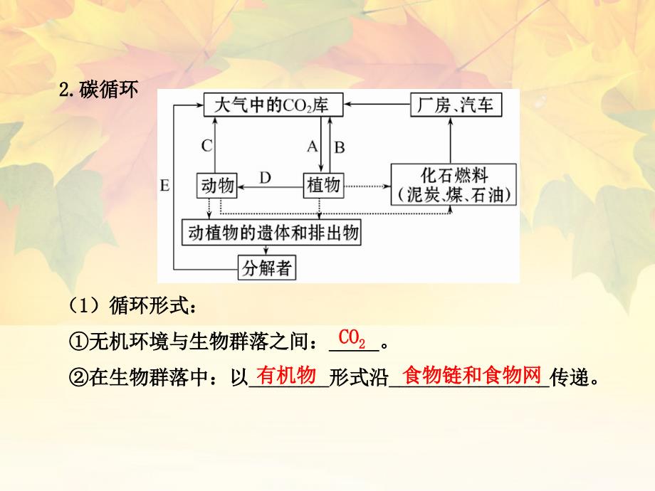 【全程复习方略】广西高考生物 7.4生态系统的物质循环和稳定性配套课件 新人教版_第3页