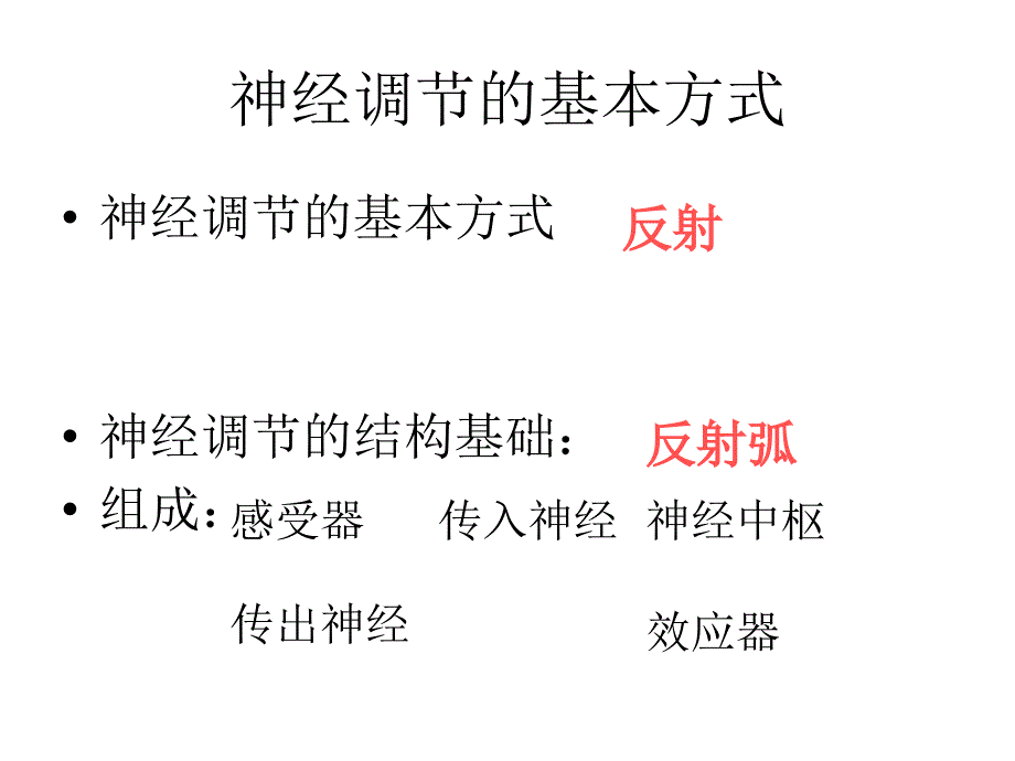 2019年生物会考复习十二反射弧课件_第2页