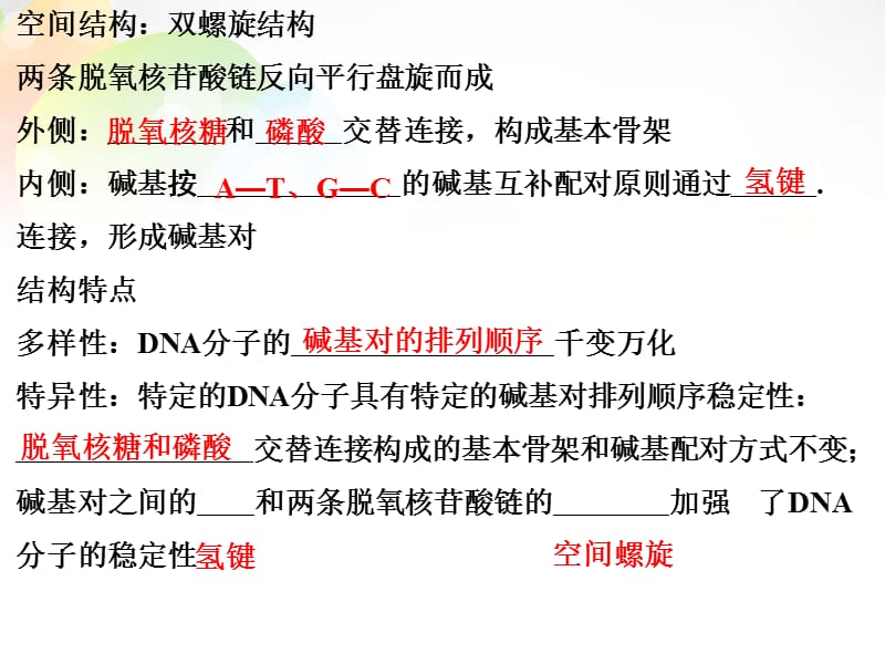 【创新设计】湖北省高考生物总复习 2-2-6DNA分子的结构和复制配套课件 中图版必修2_第5页