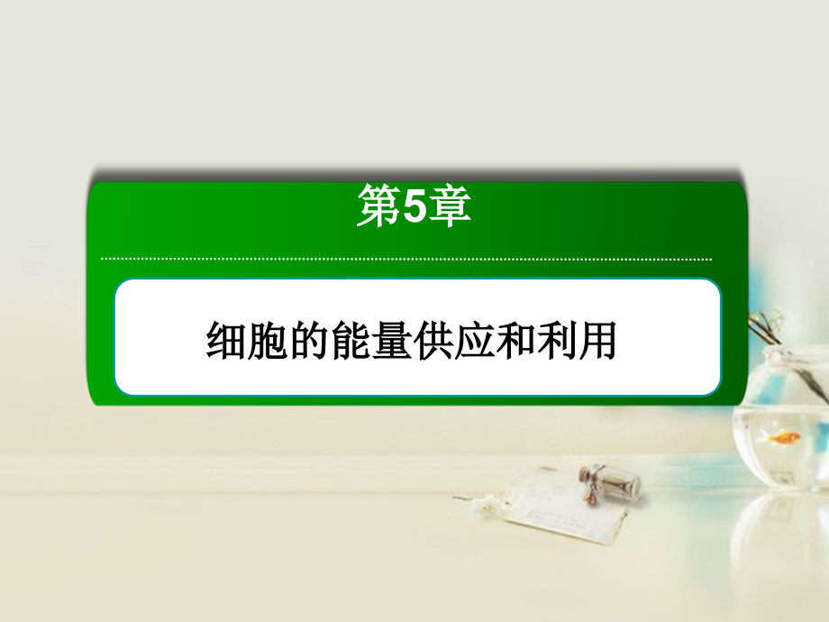 高考生物一轮复习 第5章 实验绿叶中色素的提取和分离（2）课件 新人教版_第3页