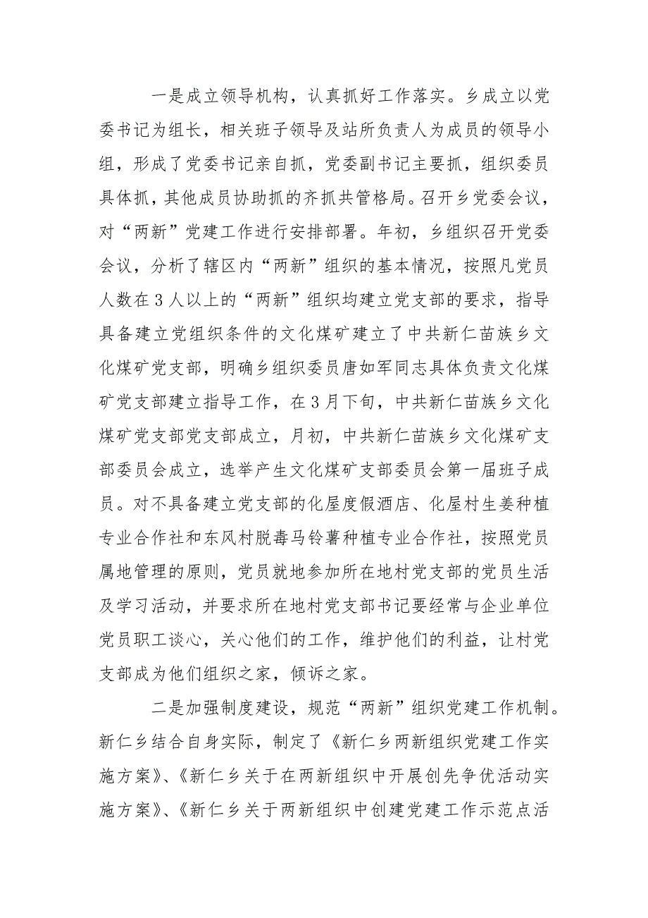 新仁苗族乡新经济组织和新社会组织党建工作汇报材料_第2页