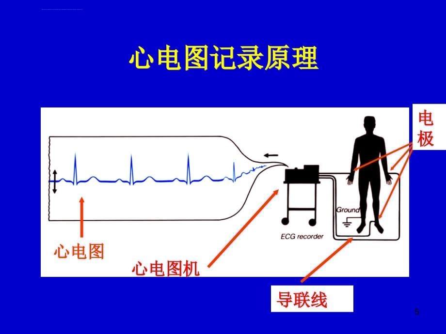 心电图1心电学基本知识课件_第5页