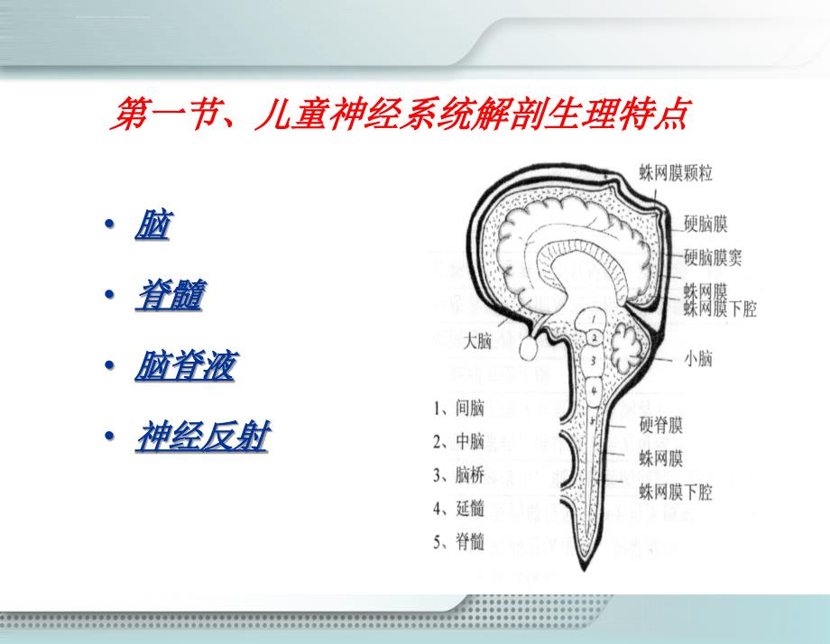 第十三章 神经系统疾病患儿的护理（一）课件_第3页