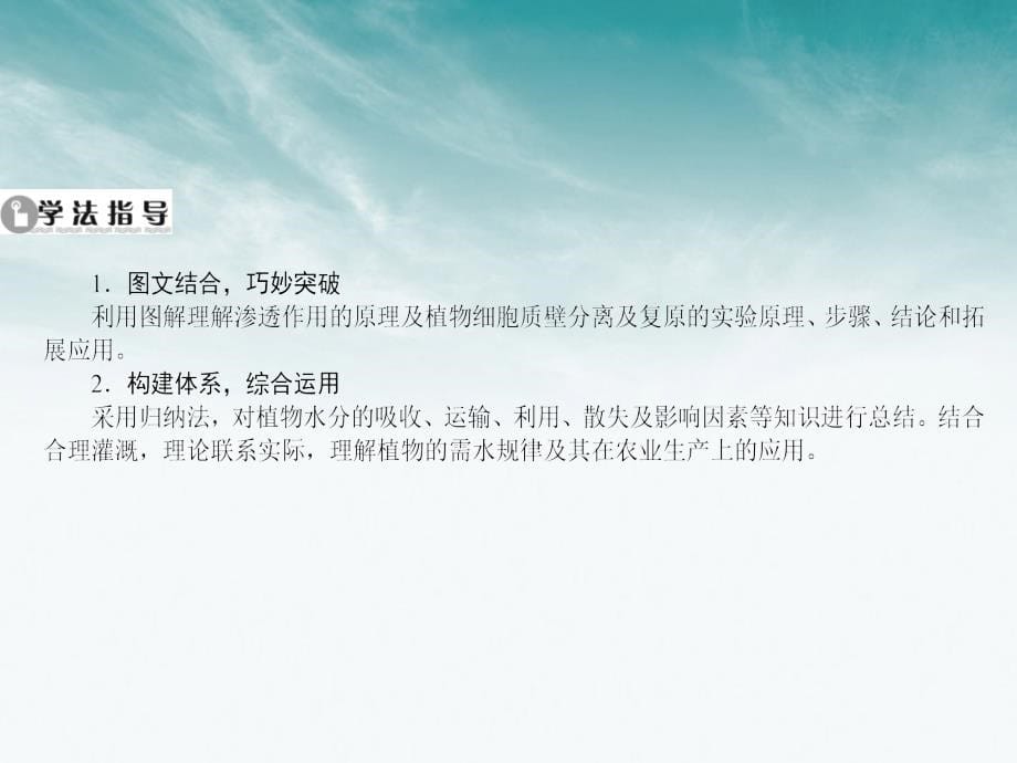 高中生物一轮总复习 考点10 植物对水分的吸收和利用(含实验七)课件_第5页