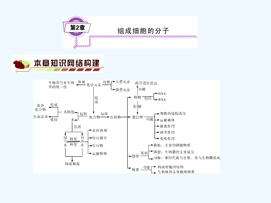 高考生物一轮复习（基础知识整理 重难点聚集）第2章 组成细胞分子课件 新人教版必修1_第1页