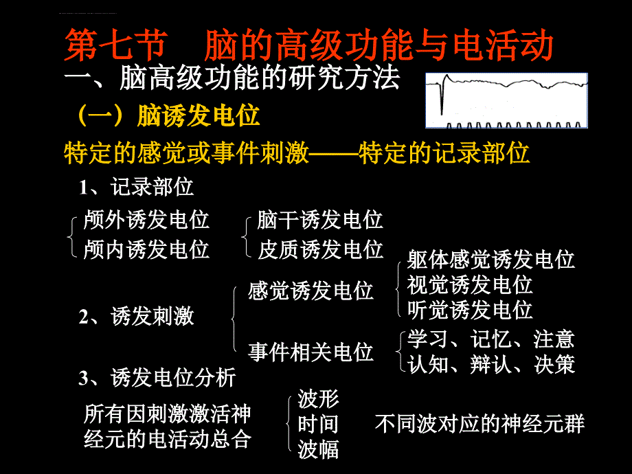 脑的高级功能及其电活动课件_第2页